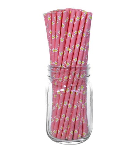 BarConic Paper Straws - Pink Daisy - CASE OF 20 / 100 PACKS